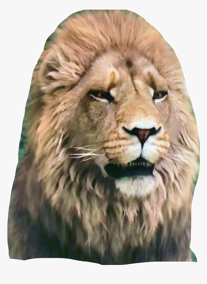 Narnia I Was There When It Was Written, HD Png Download