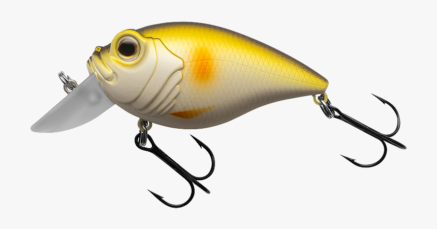 Fin, HD Png Download