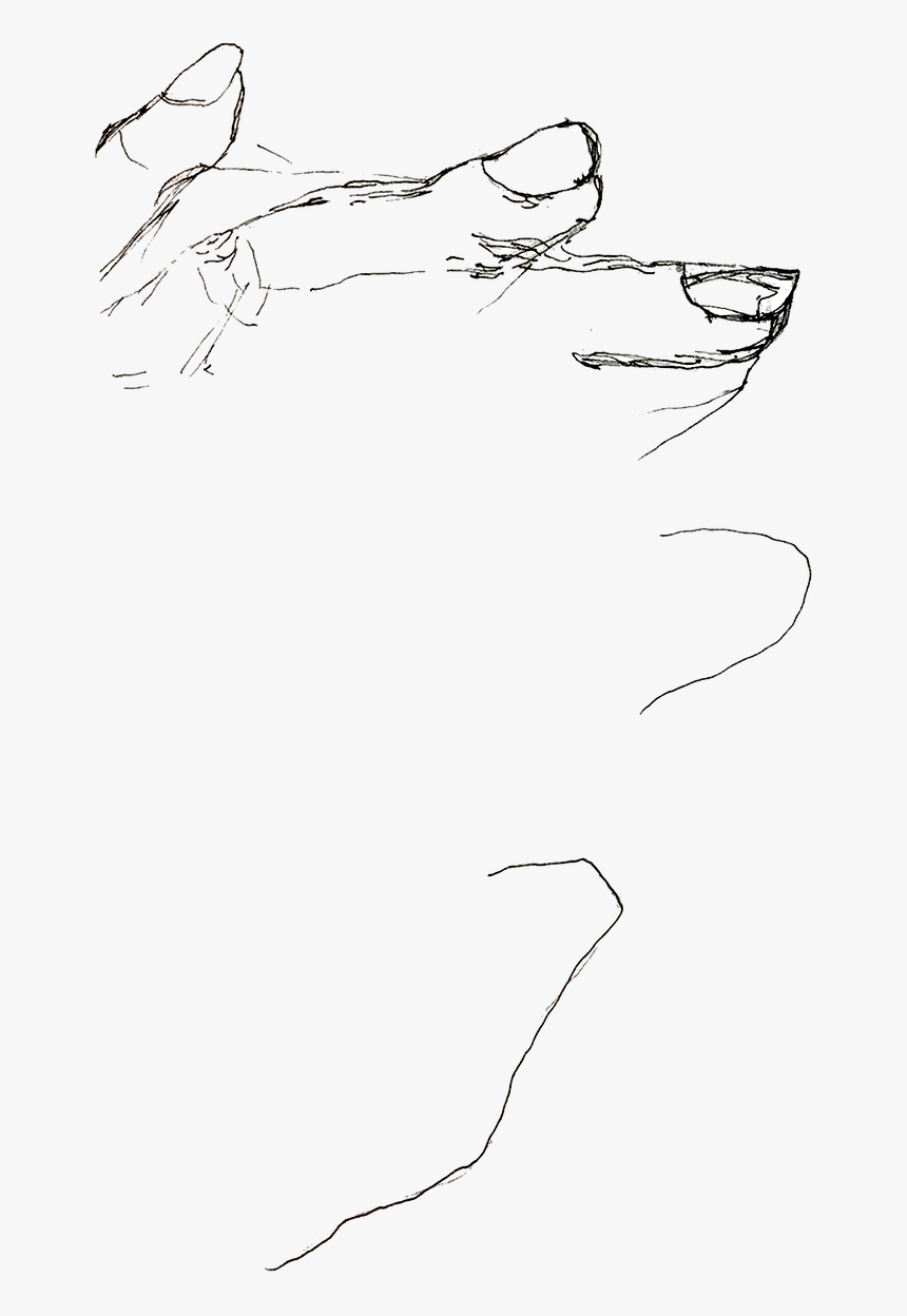 Sketch, HD Png Download