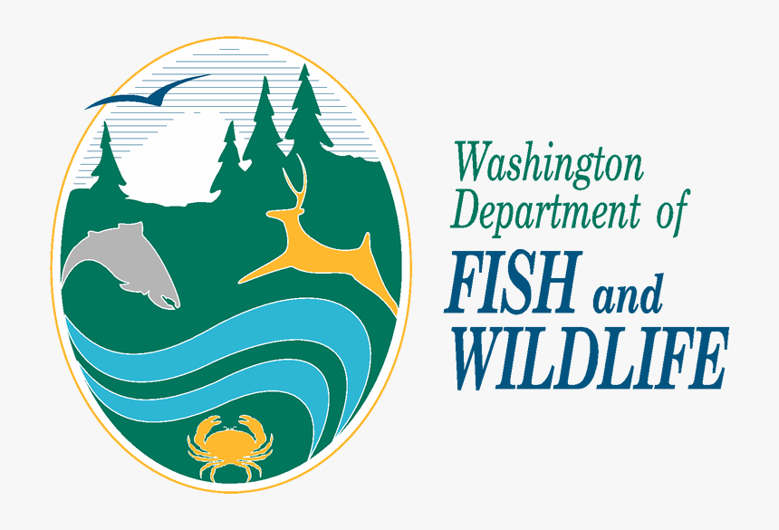Washington Department Of Fish And Widlife - Washington Fish And Wildlife, HD Png Download