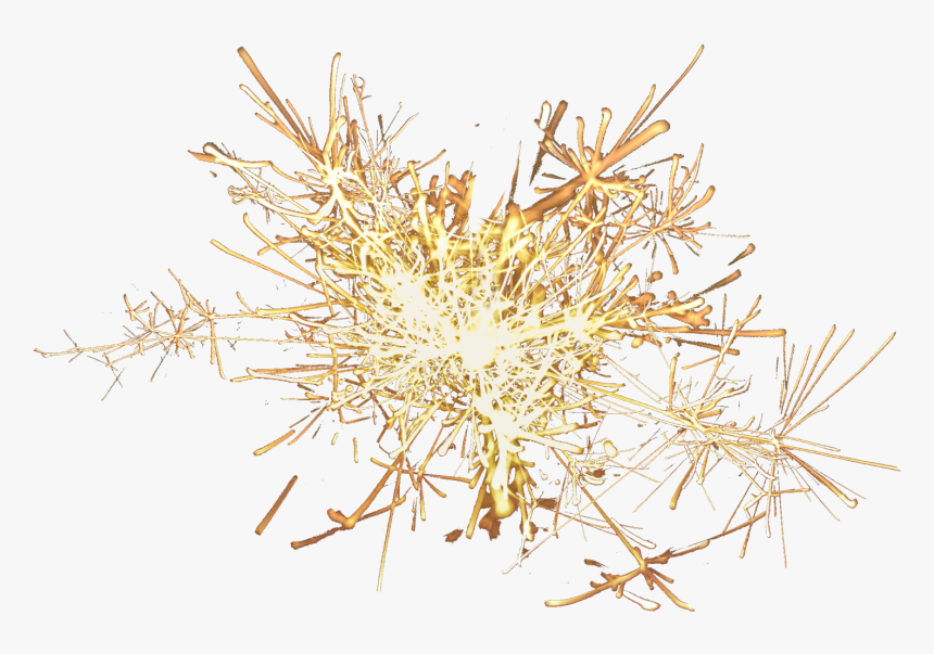 Grasses Twig Family - Luz De Bengalas Png, Transparent Png