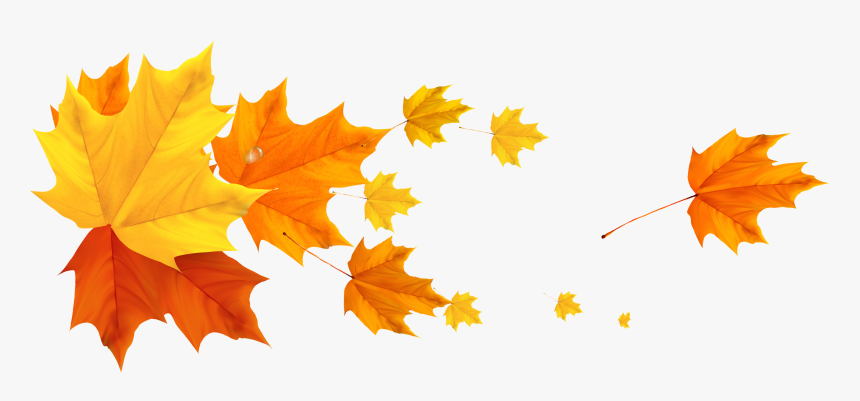 Fall Leaves Transparent Background, HD Png Download