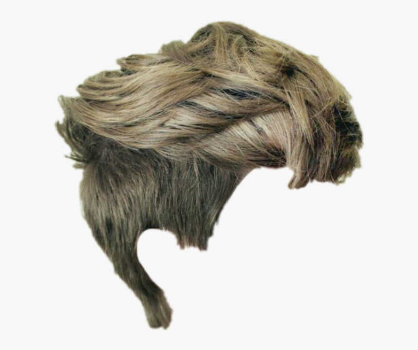 Hairstyle, HD Png Download