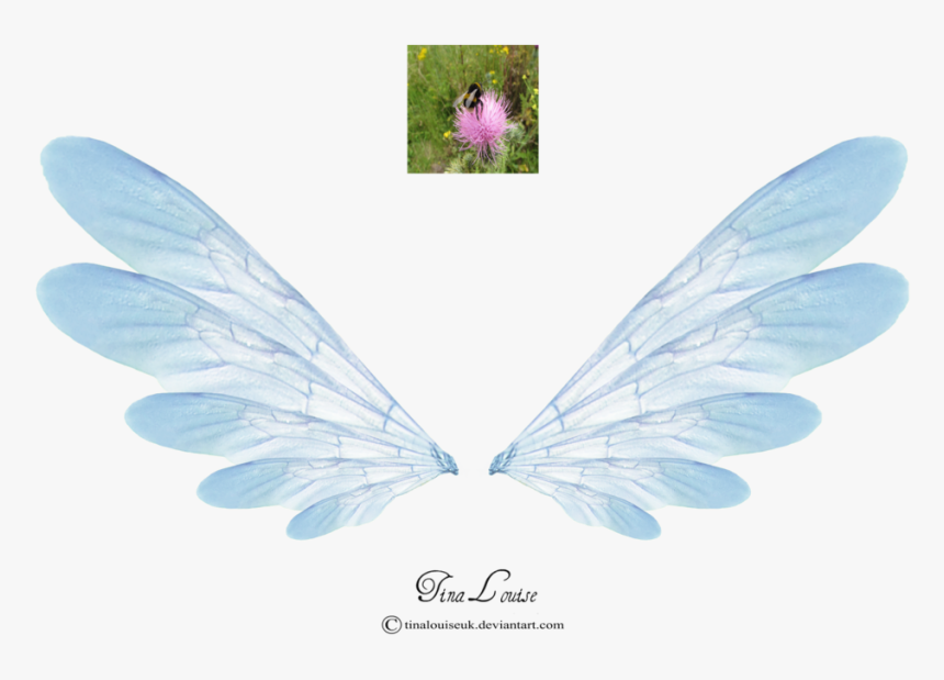 Fairy Wings Pink Png, Transparent Png