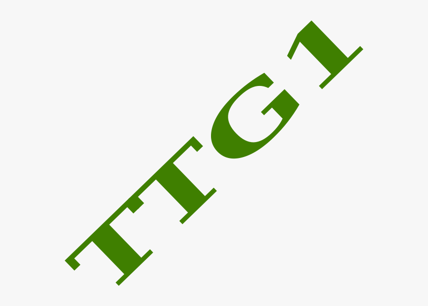 Transparent Tick Tock Clipart, HD Png Download