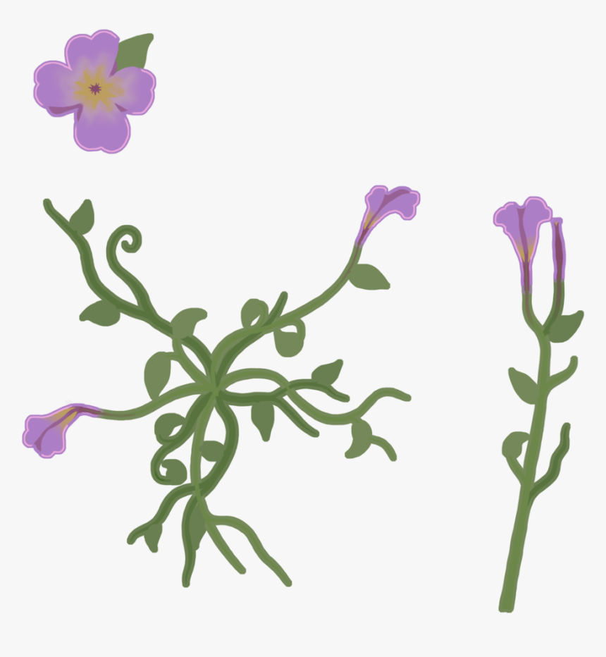 Flower Texture - Viola, HD Png Download