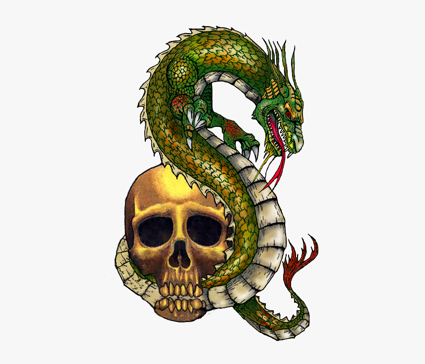 Dragon And Skull Tattoo 2014ab - Skull Dragon Tattoo Png, Transparent Png