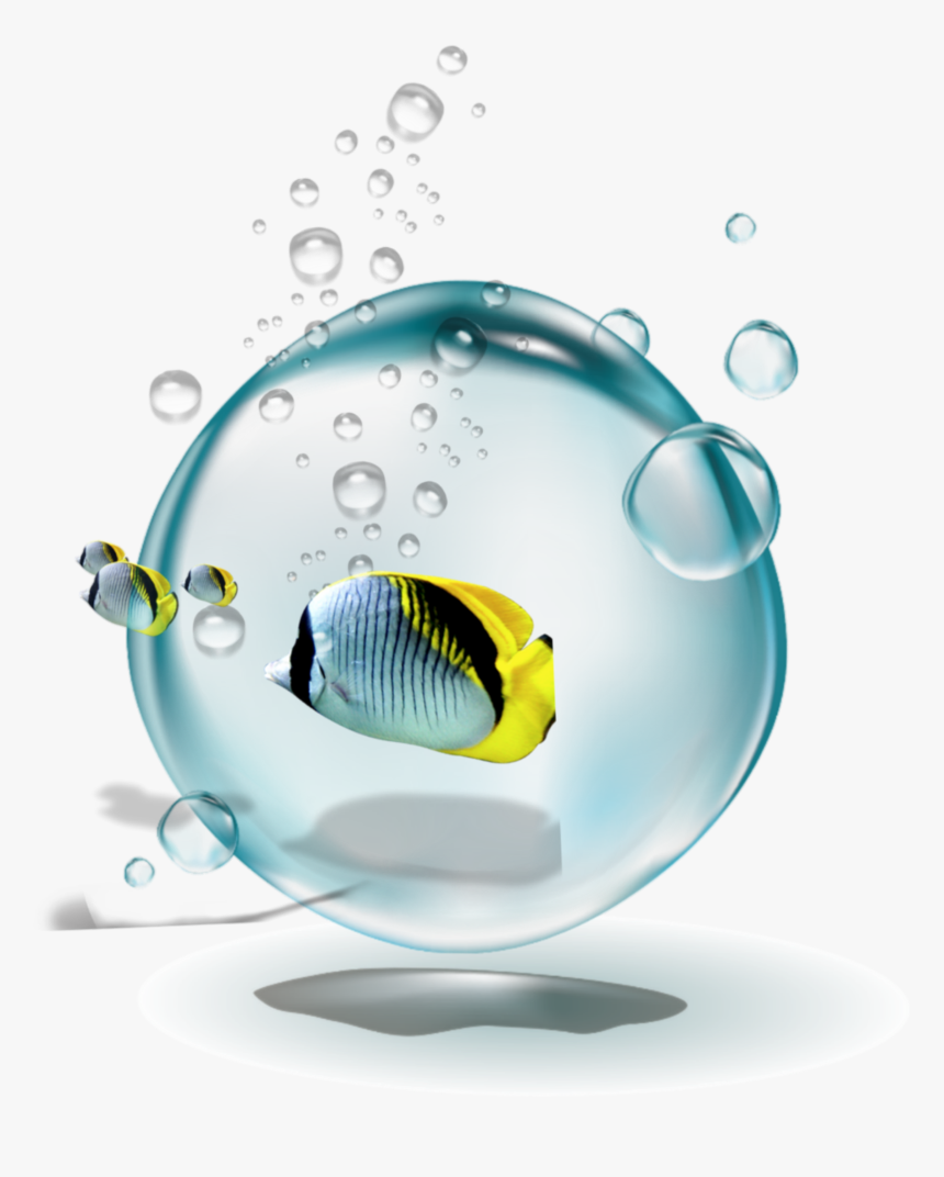 #bubbles #fish #0wate0r - 水波, HD Png Download
