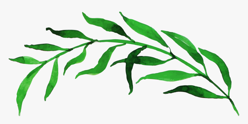 Clip Art, HD Png Download