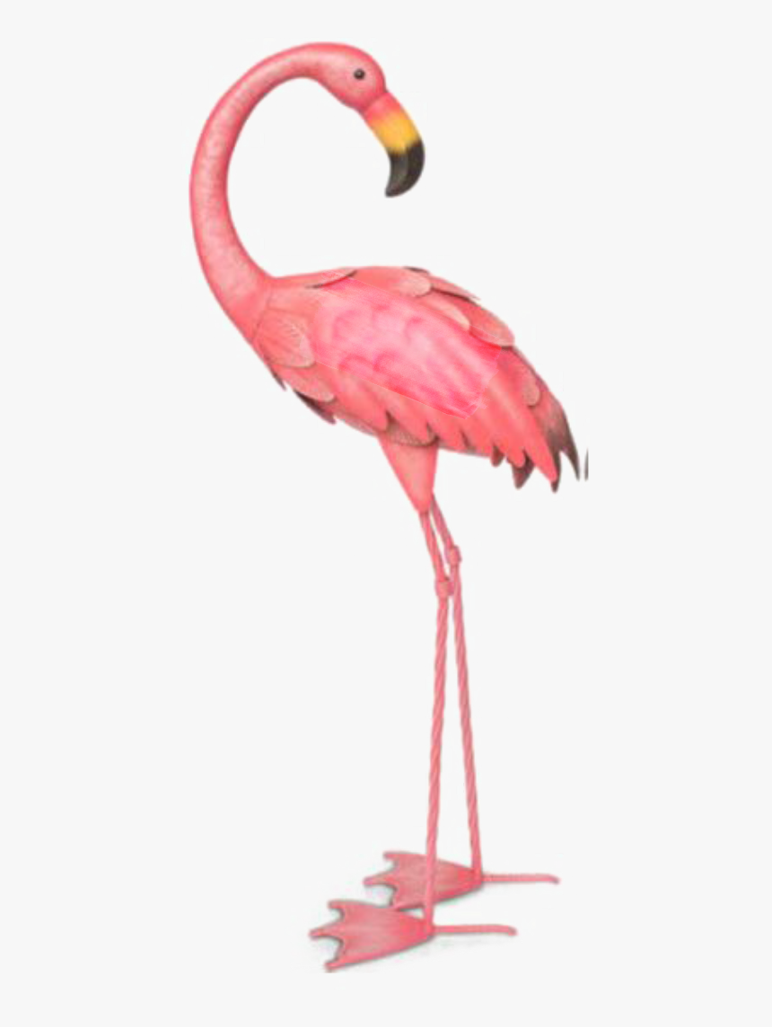 #ftestickers #watercolor #illustration #flamingo #pinkflamingo - Flamingo Transparent Background, HD Png Download
