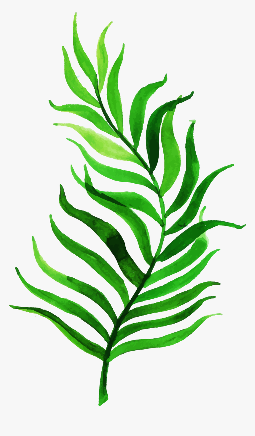 Clip Art, HD Png Download