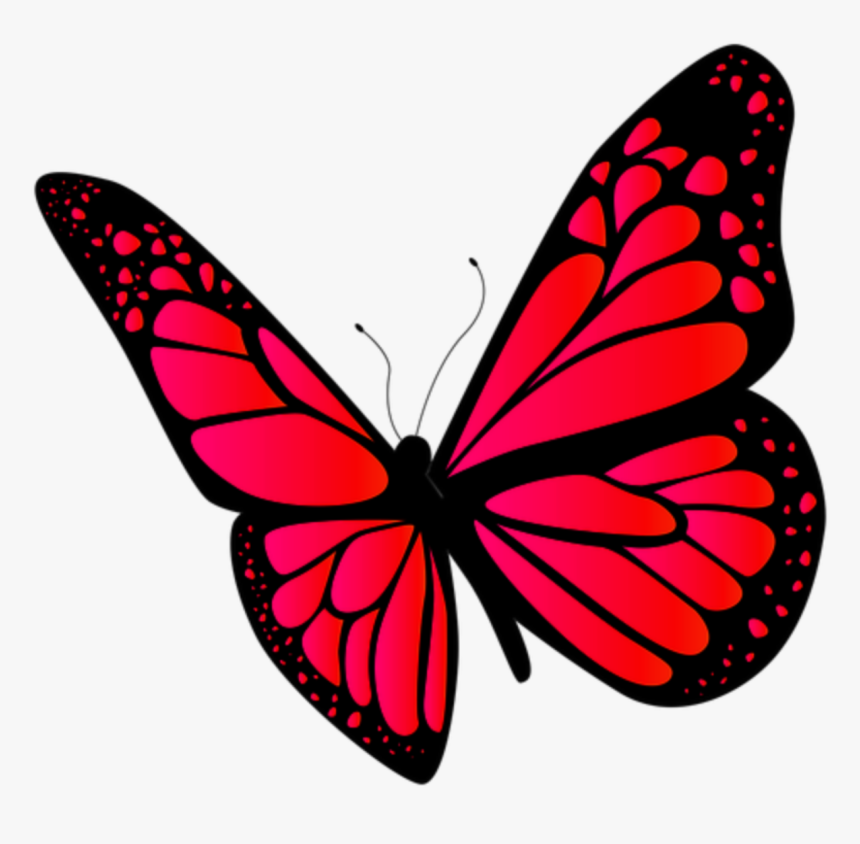 Papilio, HD Png Download