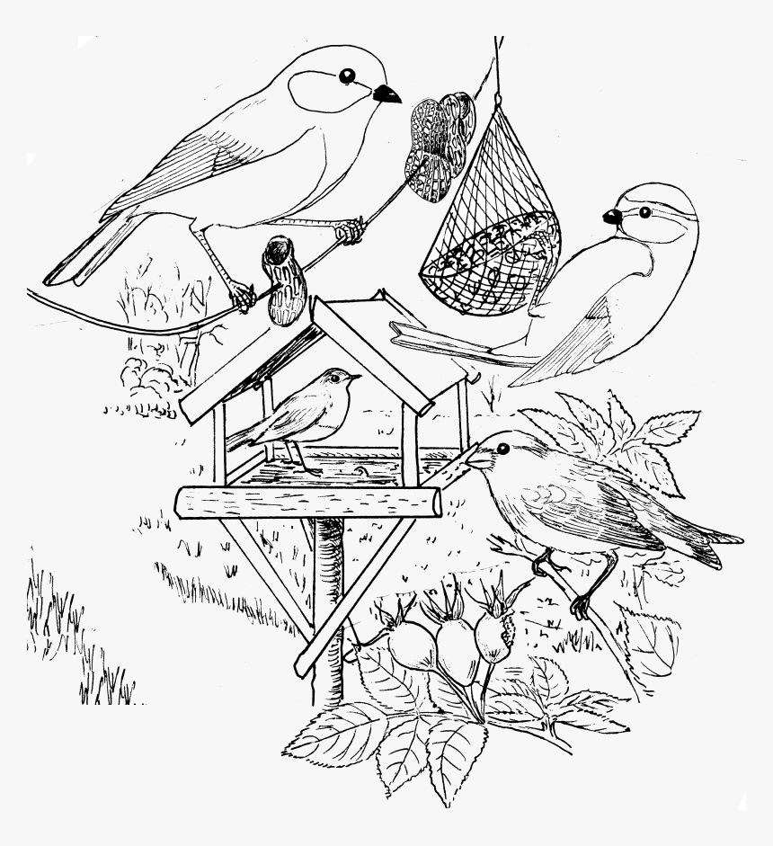 Breath Of Fire 3 Drawing, HD Png Download