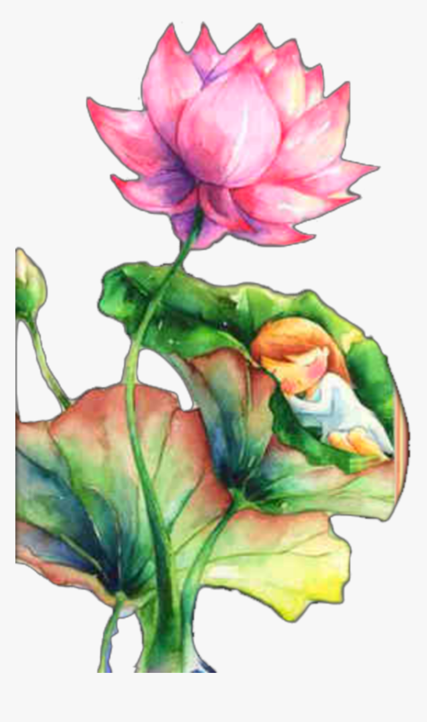 苦情 花, HD Png Download