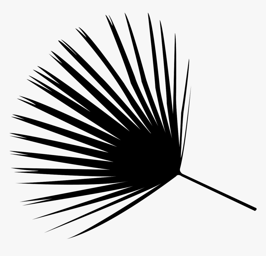 Palm Leaf Vector Black, HD Png Download