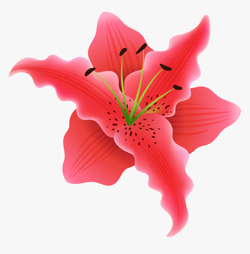 Beautiful Exotic Flower Png Clipart Image - Portable Network Graphics, Transparent Png