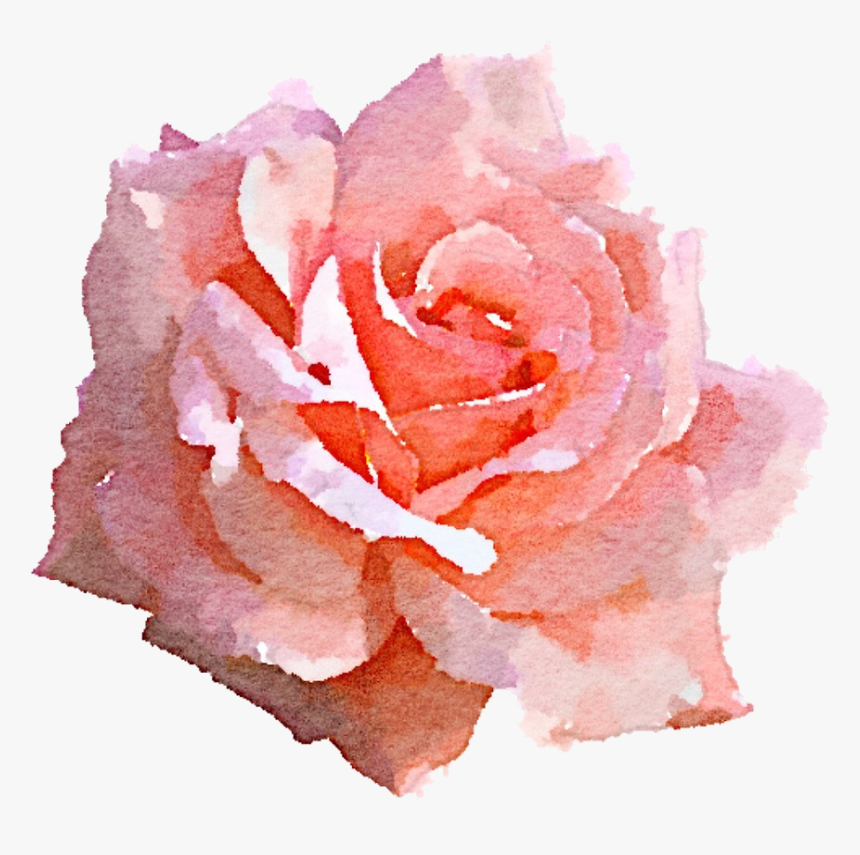 Clip Art Pink Rose Png - Pink Rose Watercolor Png, Transparent Png