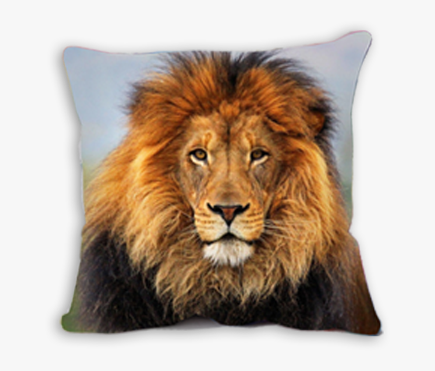 Wildlife Heritage Foundation, HD Png Download