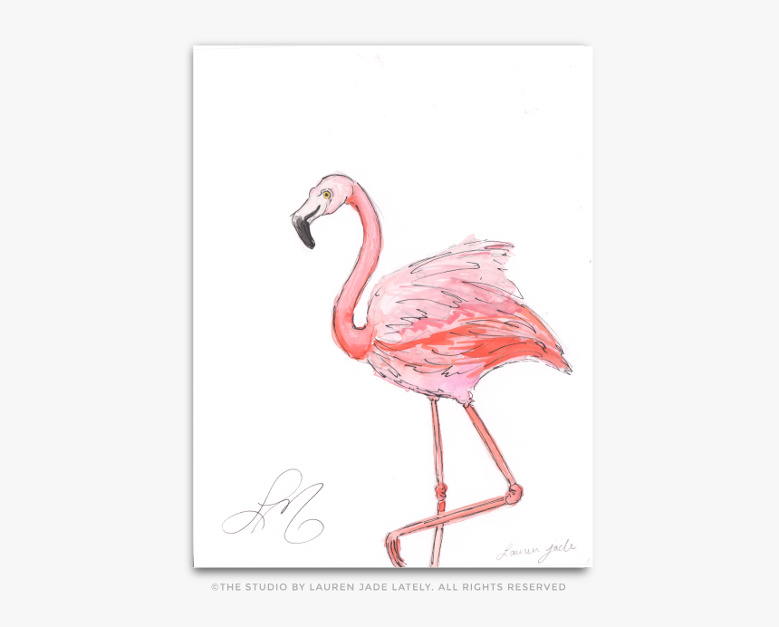 Transparent Flamingo Heart, HD Png Download