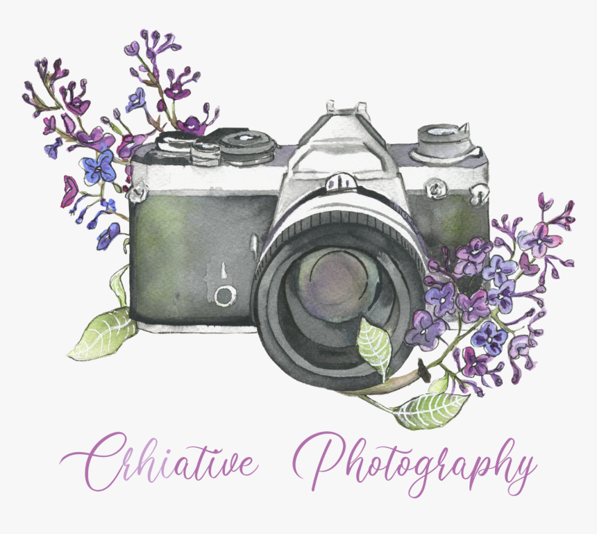 Film Camera, HD Png Download
