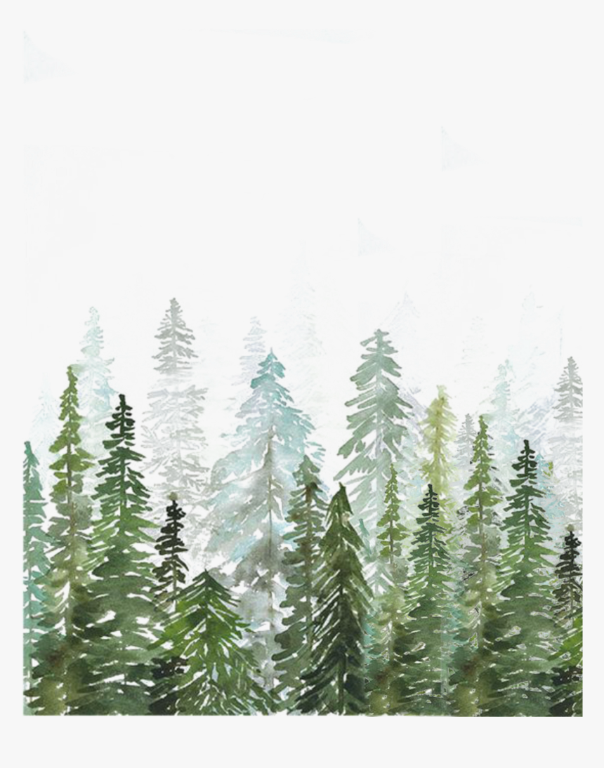 #florest #freetoedit - Watercolor Pine Tree Forest, HD Png Download