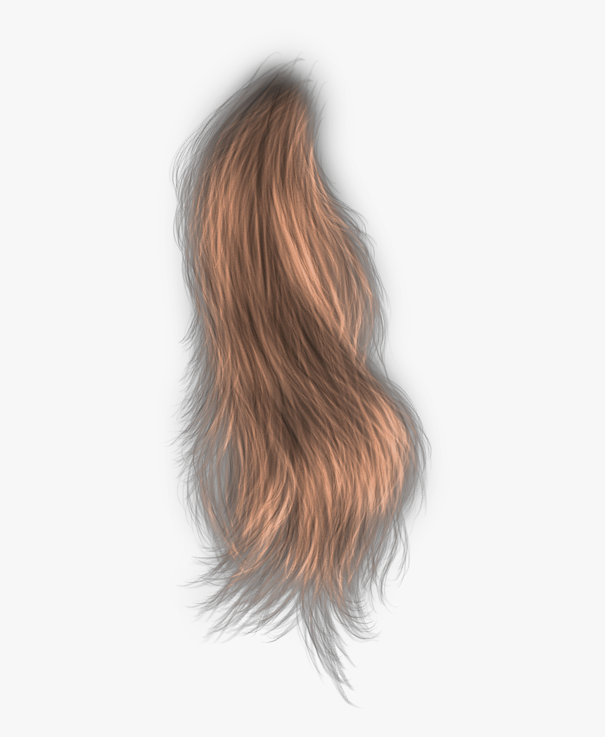 Lace Wig, HD Png Download