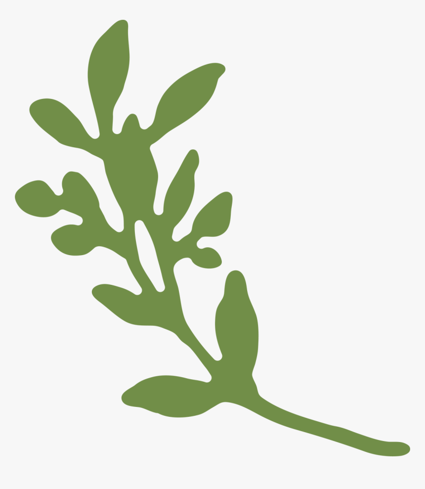 Leaf, HD Png Download