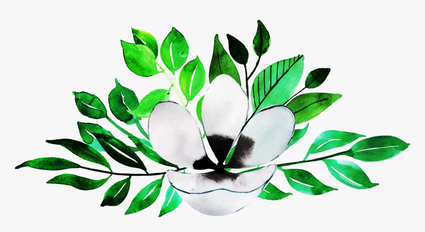 Magnolia, HD Png Download