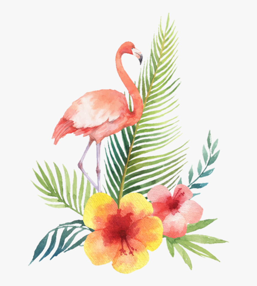 #flamingo #bird #tropical #summer #watercolor - Flamingo Tropical Watercolor Vector, HD Png Download