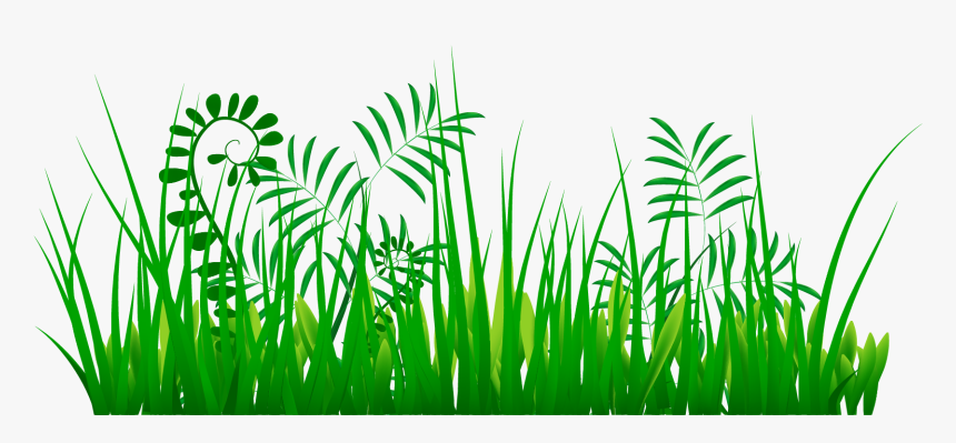 Tree Growth Clipart Vector Transparent Plant Clipart - Clip Art, HD Png Download