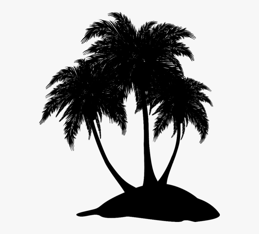 Asian Palmyra Palm Black & White - Attalea Speciosa, HD Png Download