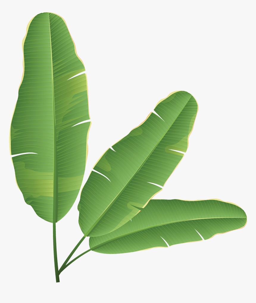 Banana Leaf Banana Bread Clip Art - Banana Leaves Clip Art, HD Png Download