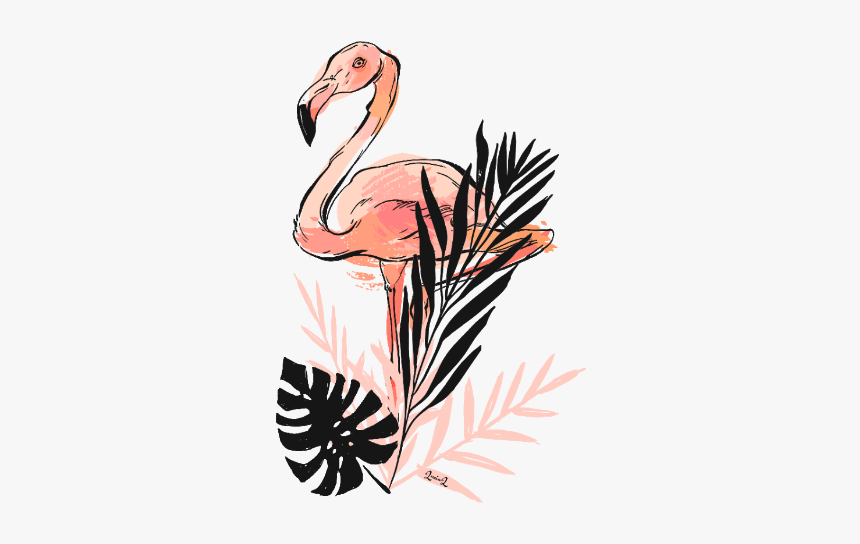 #flamingo #pinkflamingo #leaves #flamingoandleaves - Greater Flamingo, HD Png Download
