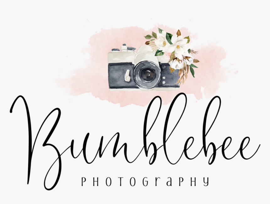 Bumblebee Photography, HD Png Download