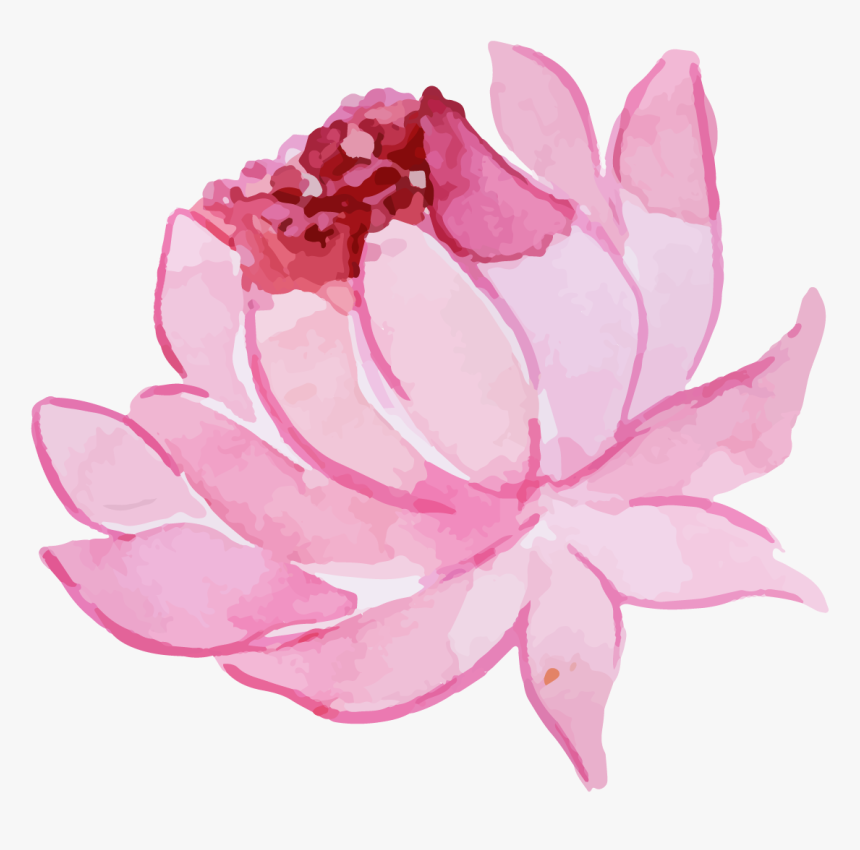 Sacred Lotus, HD Png Download