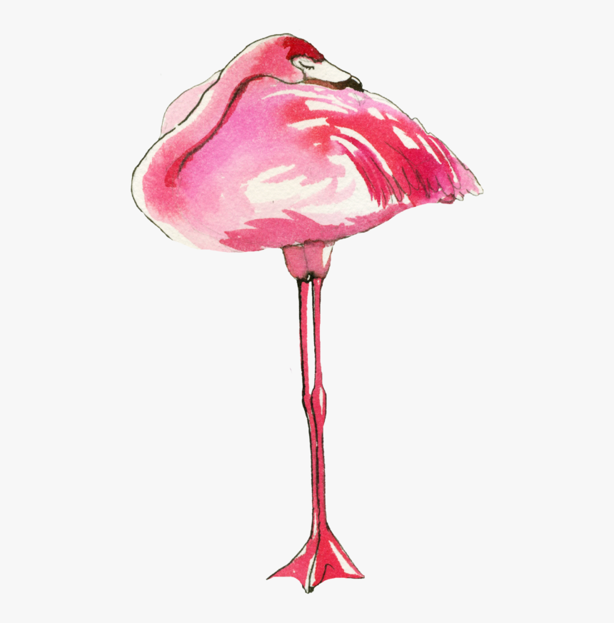 Sketch, HD Png Download