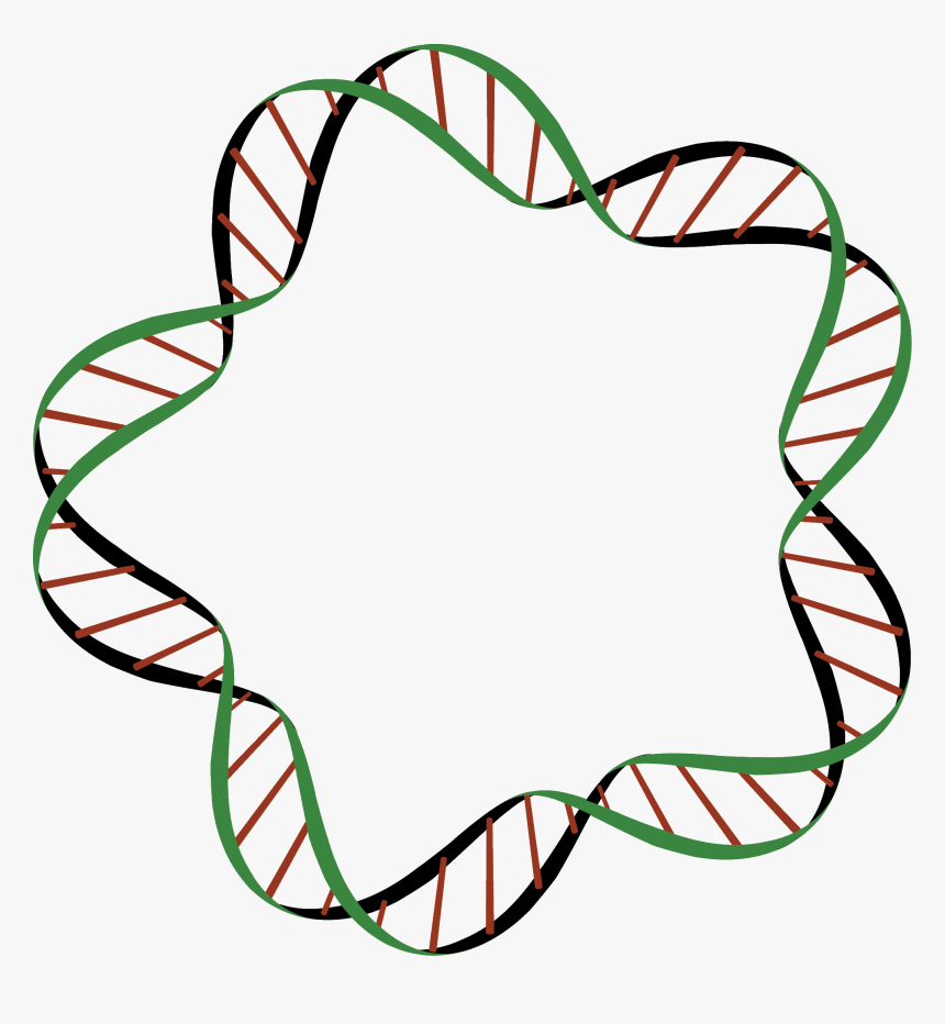 Plasmid Clipart, HD Png Download