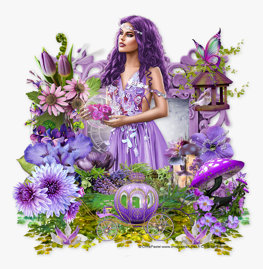 African Daisy, HD Png Download