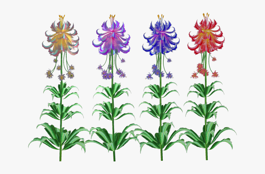 Lily, HD Png Download