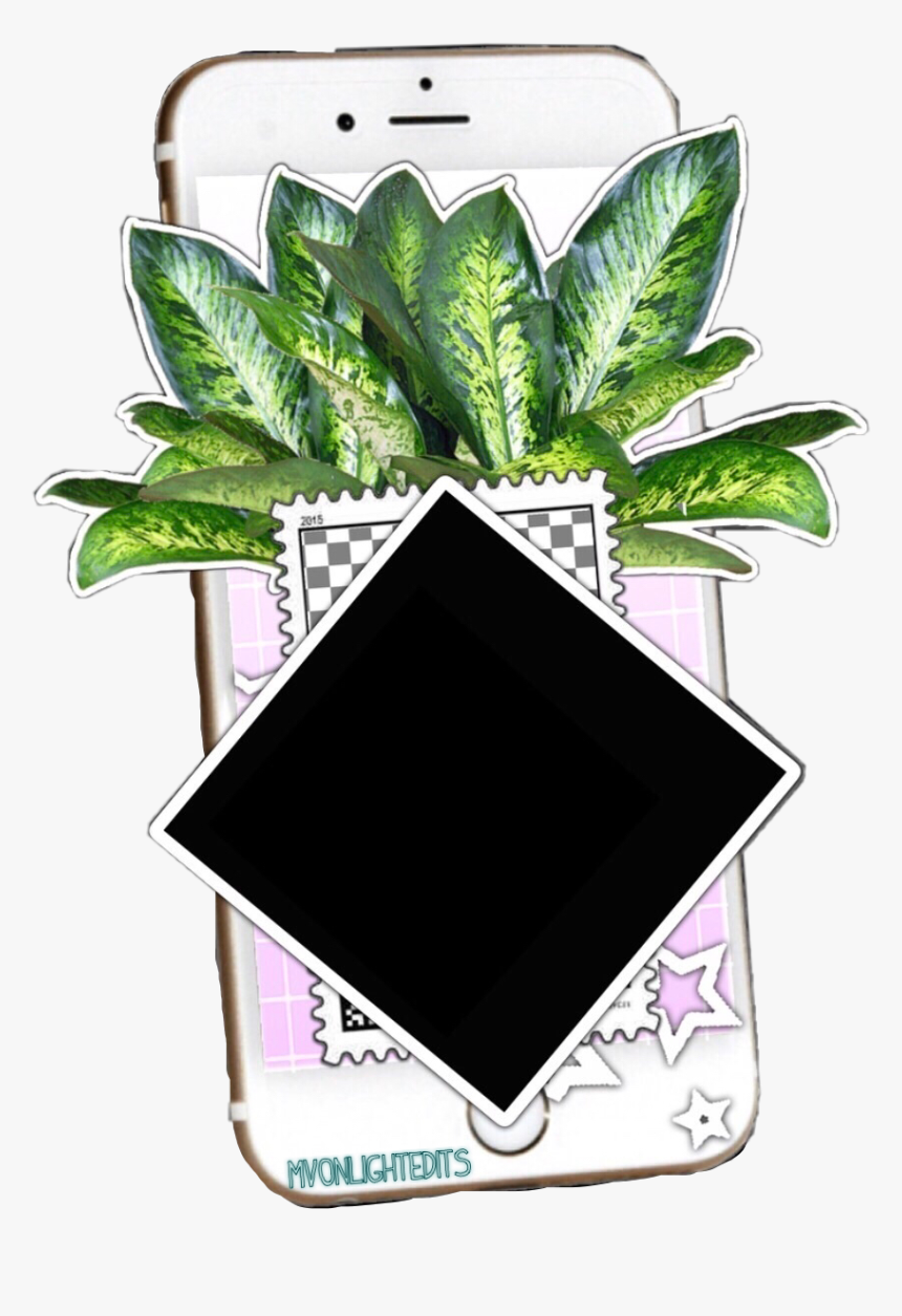 Just A Little Iphone/plant/editing Sticker For Your - Plant Texture Png, Transparent Png
