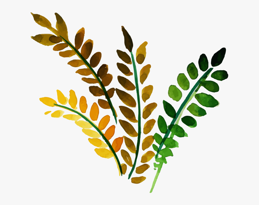 Illustration, HD Png Download