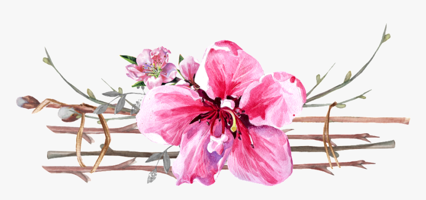 Illustration, HD Png Download