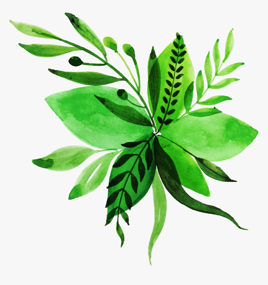 Letter X Watercolor Leaves Background, HD Png Download