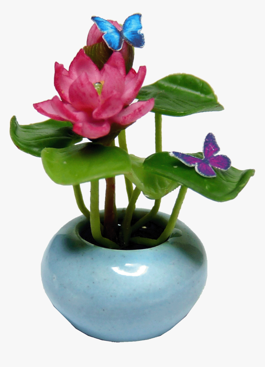 Water Lily, HD Png Download