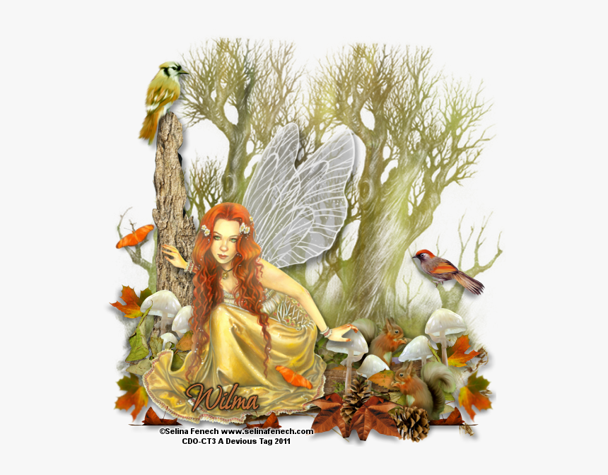 Fairy, HD Png Download