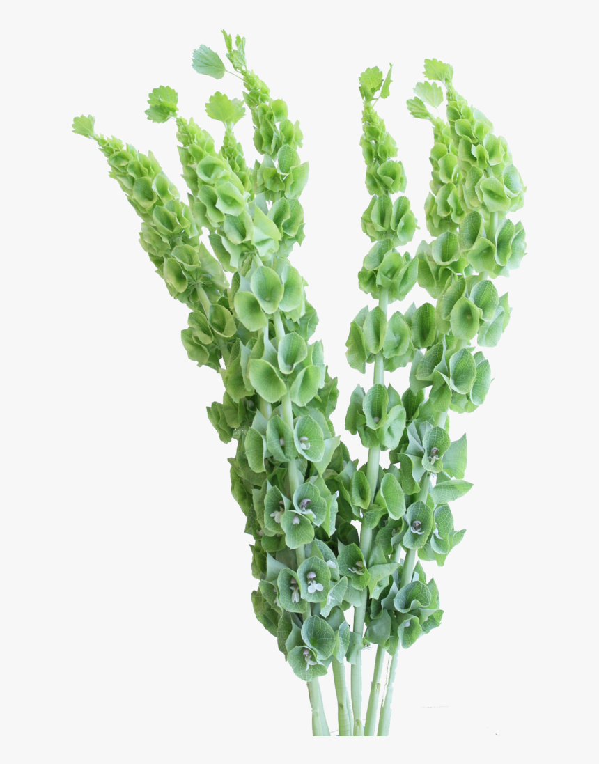 Artificial Flower, HD Png Download