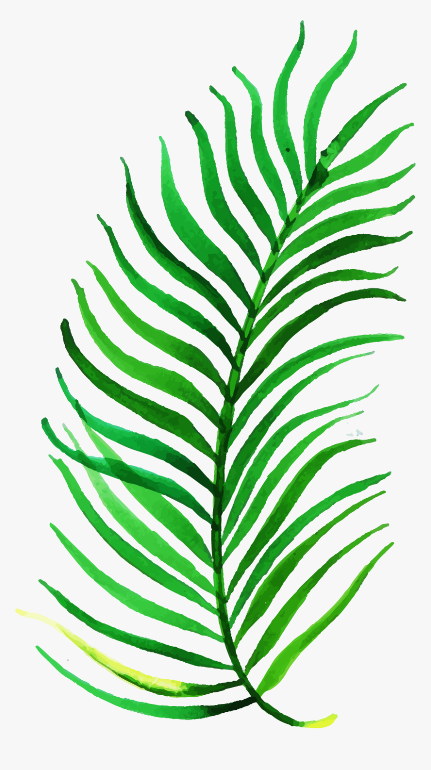 Clip Art, HD Png Download