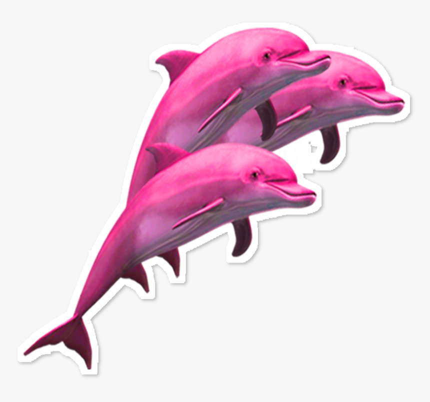 #delfin #dolphin #dolphins #pink #rosa #vaporwave #aesthetic - Dolphin Png, Transparent Png