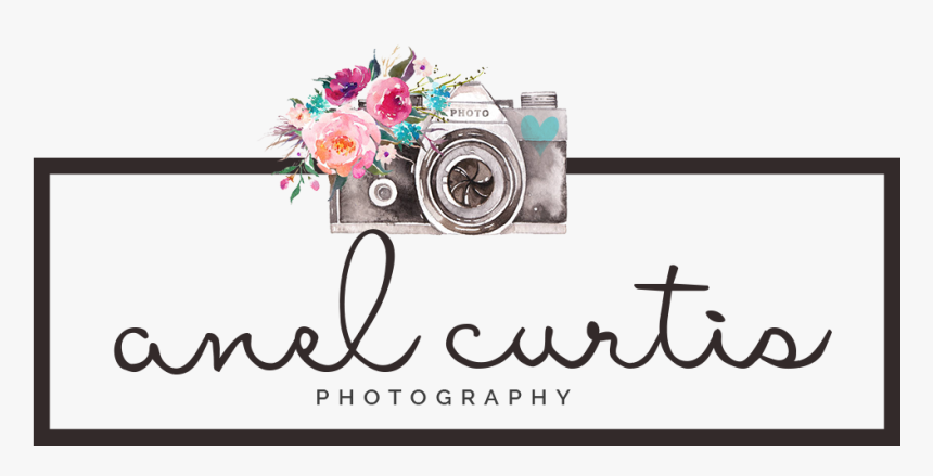 Anel Curtis Photography - Floral Design, HD Png Download