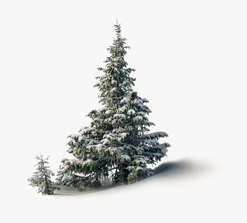 Feliz 26 De Diciembre, HD Png Download